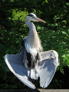 Reiger unabashedly flashing