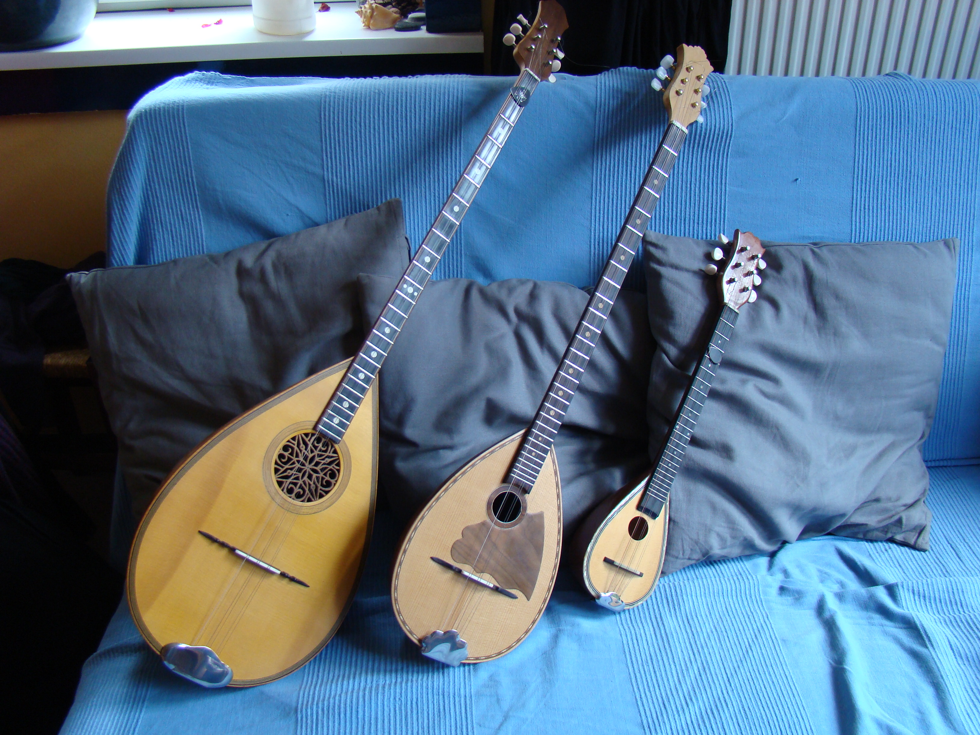 Bouzouki family